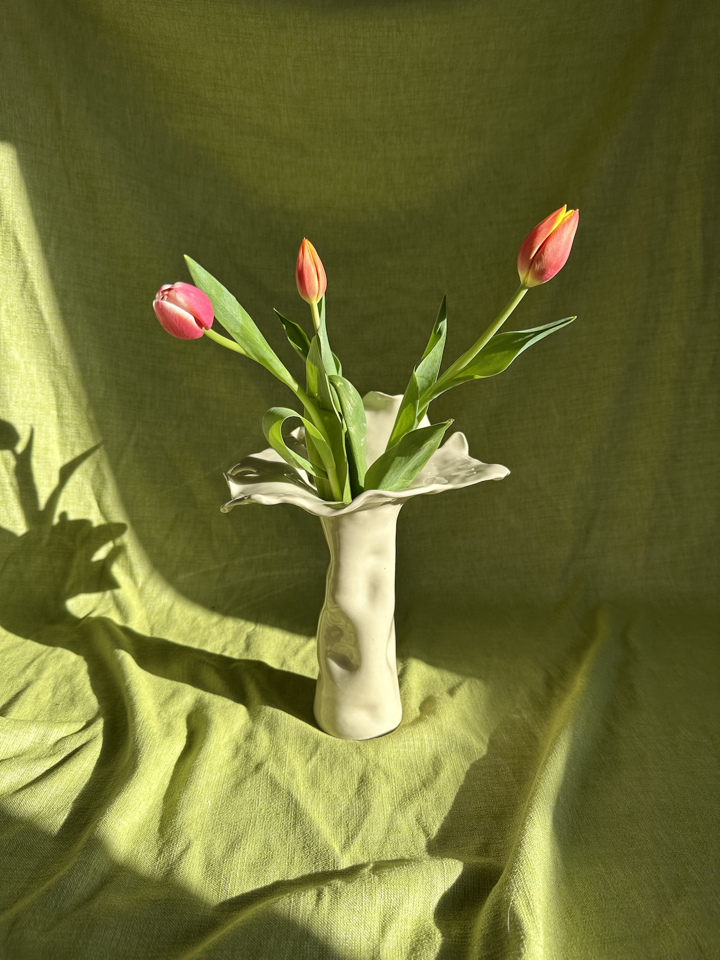 Studio photo 17